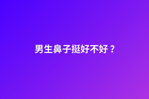 男生鼻子挺好不好？